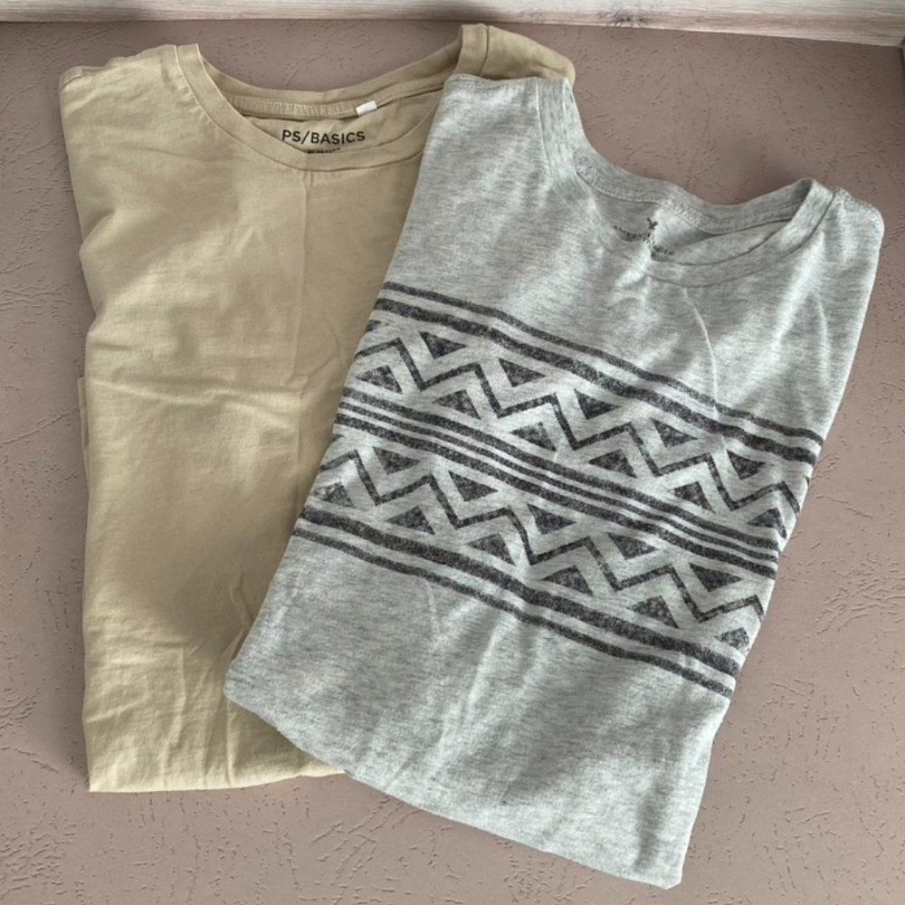 PacSun / AE Mens Bundle SS Shirts